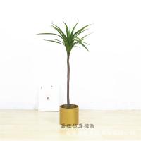 uploads/erp/collection/images/Home Garden/dgjiawang/XU0612861/img_b/XU0612861_img_b_5
